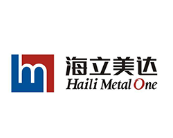 湖北海立美（měi）達汽車（chē）有限公司